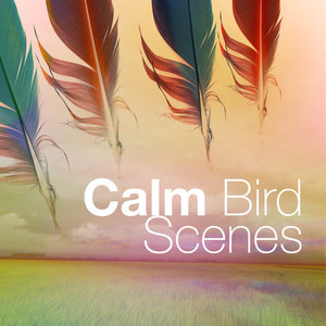 Calm Bird Scenes