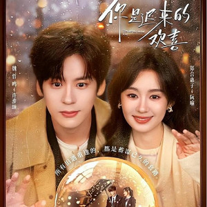 《你是迟来的欢 喜》阮喻小说陷入抄袭风波 (DJ长音频)封面