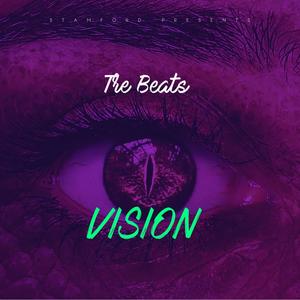 VISION (Explicit)