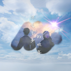 你是年少的欢喜