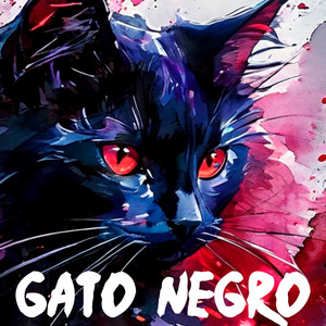 Gato negro