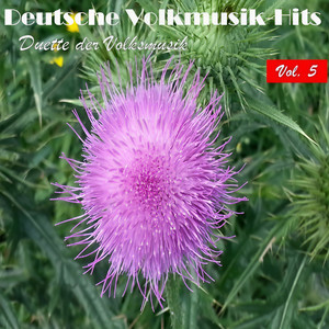 Zum Gipfel ist's ein steiler Weg