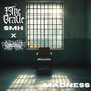 Madness (feat. Bobbi Vanet) (Remix)