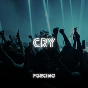 Bingo Players - Cry (Mainstream Techno)