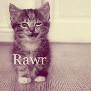 sebba (prod. Andrew Jenks) (Explicit)