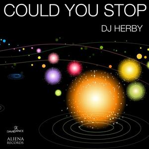 Could You Stop - Single