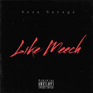 Like Meech (Explicit)