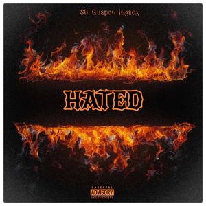 Hated (Explicit)