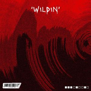 WILDING (feat. 24 DYNASY MUSIC & AGENT 4TY7) [Explicit]