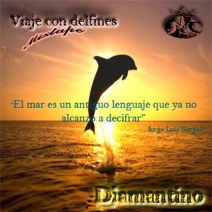 Viaje con delfines (Explicit)