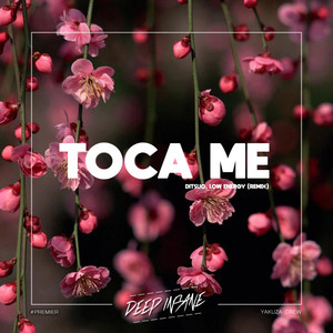 Toca Me (Radio Mix)