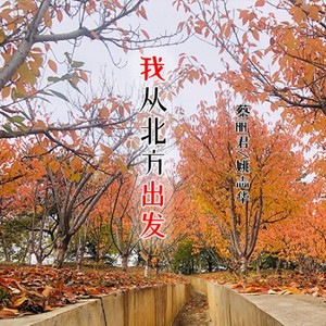 我从北方出发