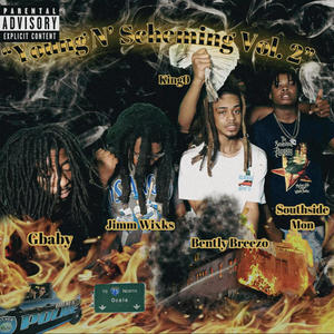 Young N' Scheming, Vol. 2 (Explicit)