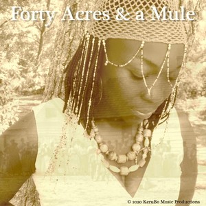 Forty Acres and a Mule (Explicit)