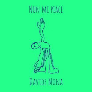 Non mi piace (cover musicale)