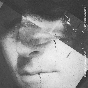 Separating Flesh (Alien Delon Remix)