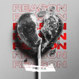 REASON