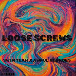 Loose Screws (feat. Awful Negroes) (Explicit)