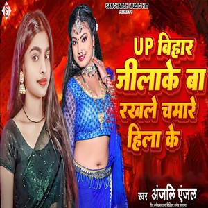 Up Bihar Hila Ke