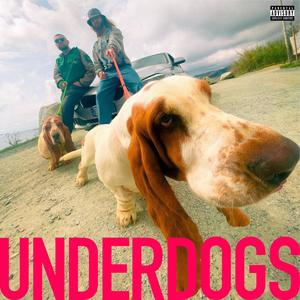 Basset Hound (Explicit)