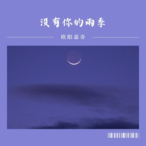 没有你的雨季