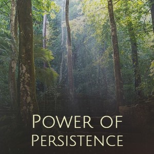 Power of Persistence