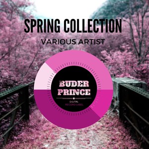 Spring Collection