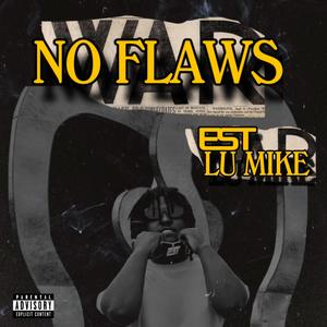 NO FLAWS (Explicit)