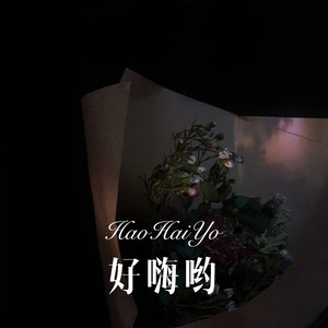 追梦天涯 (Remix)