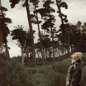 Cualquier Miedo o Cicatriz