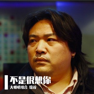 不是很想你 (伴奏)