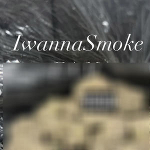 I wanna smoke (Explicit)