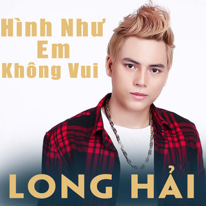 Hình Như Em Không Vui (Remixes)