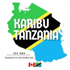 Welcome To Tanzania (feat. Sela Ninja)