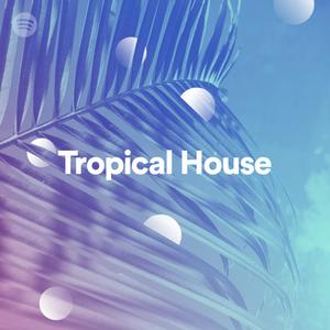 The Nights Tropical House