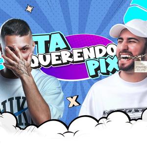 MEGA FUNK TA QUERENDO PIX (Explicit)