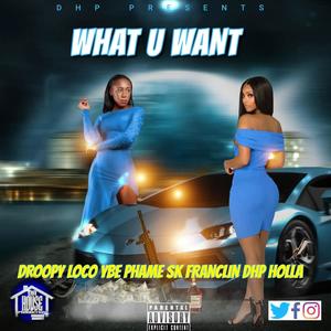 What U Want (feat. SK Franclin, Ybe Phame & PlugLyfe Holla) [Explicit]