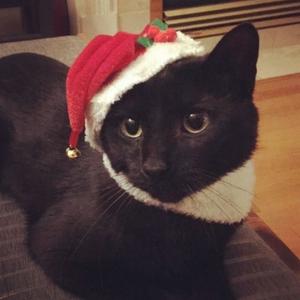 antisocial (feat. ÆG) (Explicit)