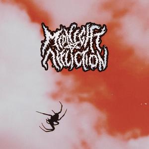 Party Music (Explicit)