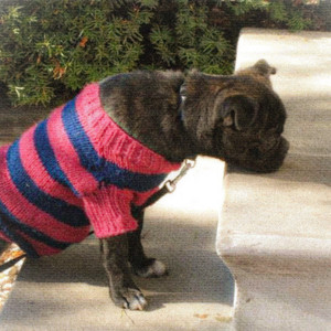 Billianne - A Little Older