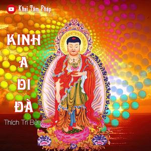 Kinh A Di Đà (Thích Trí Bửu)