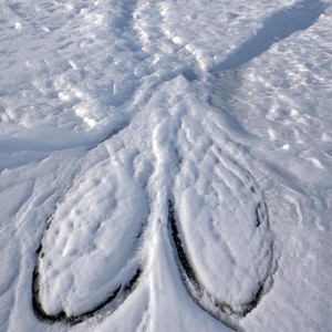 Night Out X Cool Song