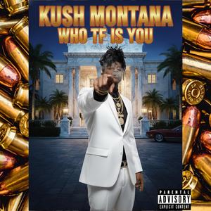 Who Tf Is You (Explicit)