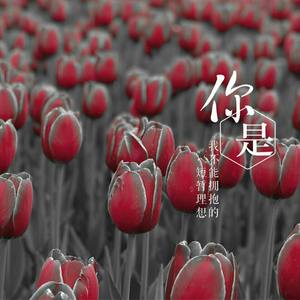 青苦艾 - 你在思念谁