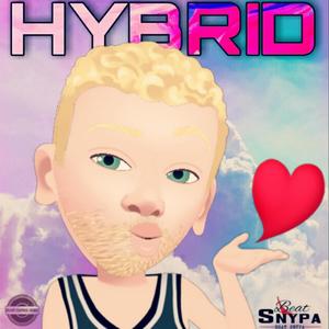 HYBRID (Explicit)