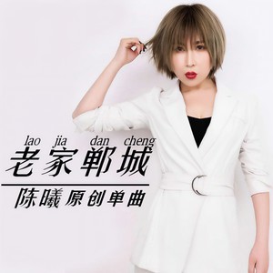 老家郸城 (唢呐版)