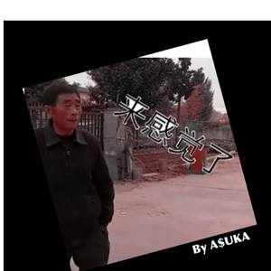 你家老母猪被偷去了