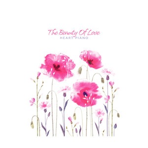 사랑의 아름다움 (The Beauty Of Love)