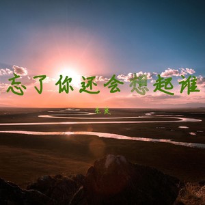 王良 - 忘了你还会想起谁