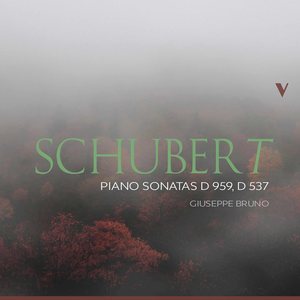 Piano Sonata in A Major, D. 959 - I. Allegro
